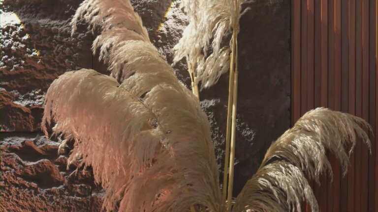 EmaMalkova's Streamate show and profile